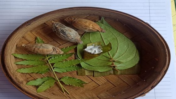 CANANG: Bentuk canang masyarakat adat Julah dengan salah satu bahan dari daun Intaran sebagai pengganti bunga. Tidur, Upacara Hingga Melahirkan di Dapur bagi Pengantin Baru