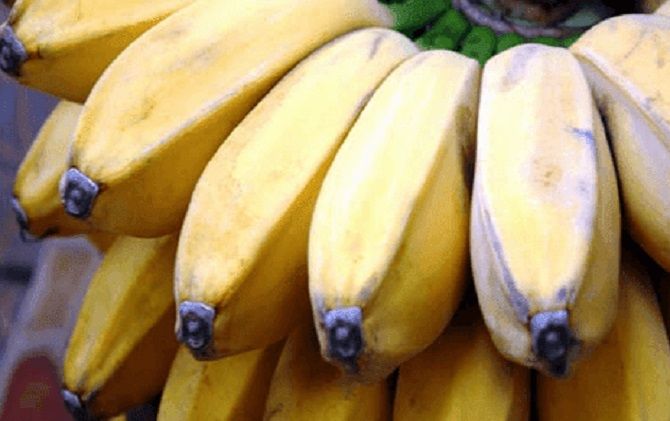 Doping Alami Tingkatkan Stamina Tubuh saat Olahraga