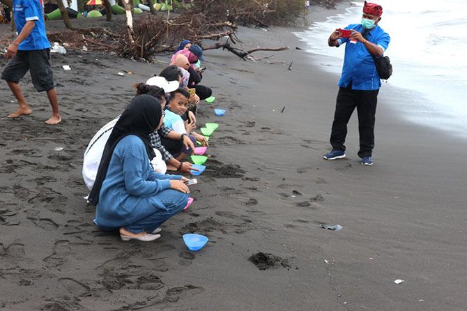 PELESTARIAN:Pengunjung melepas anak penyu di Pantai Cemara Banyuwangi. PELESTARIAN:Pengunjung melepas anak penyu di Pantai Cemara Banyuwangi.
