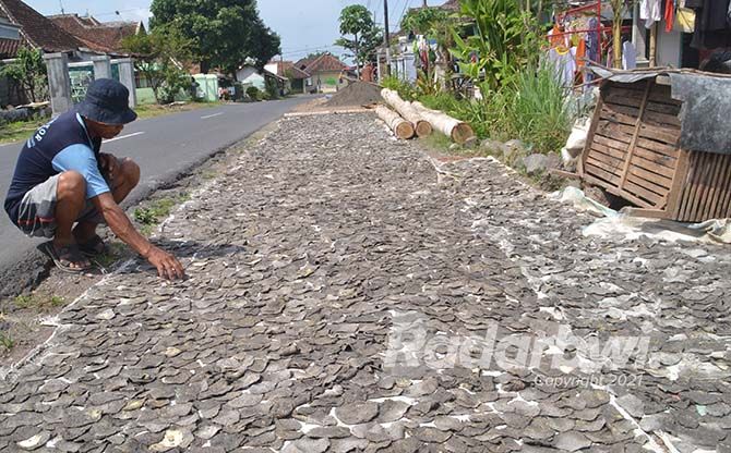 BUANG GETAH: Pak Endah menjemur gadung yang telah diiris tipis dan diberi campuran abu. BUANG GETAH: Pak Endah menjemur gadung yang telah diiris tipis dan diberi campuran abu.