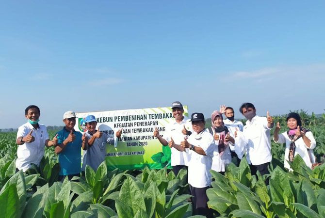 Disperta Jombang melakukan kegiatan penerapan pembenihan tembakau. Disperta Jombang melakukan kegiatan penerapan pembenihan tembakau.