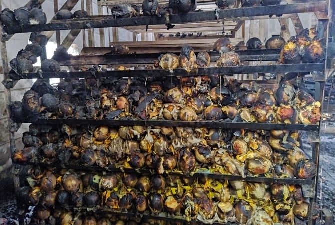 Korsleting Listrik, Penetasan Bebek di Jombang Terbakar Korsleting Listrik, Penetasan Bebek di Jombang Terbakar