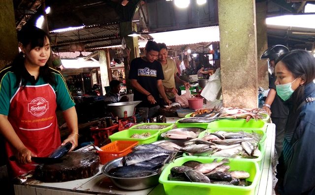 jual ikan