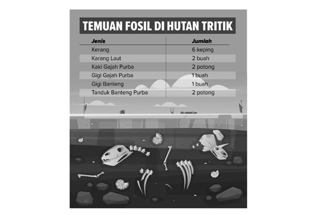 Temuan Fosil di Hutan Nganjuk Fosil