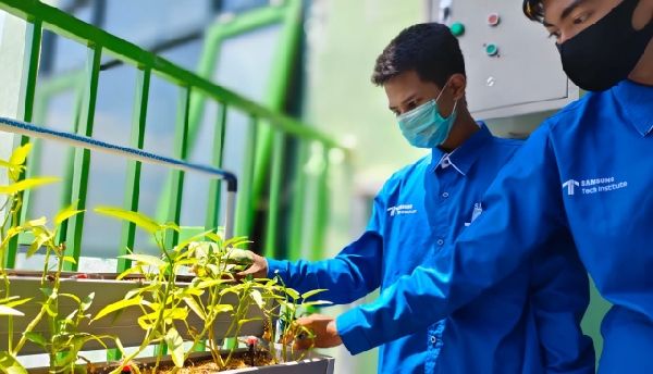 INNOVATIF: Nicola mencoba smart irrigation system hasil karya bersama temantemannya. INNOVATIF: Nicola mencoba smart irrigation system hasil karya bersama temantemannya.
