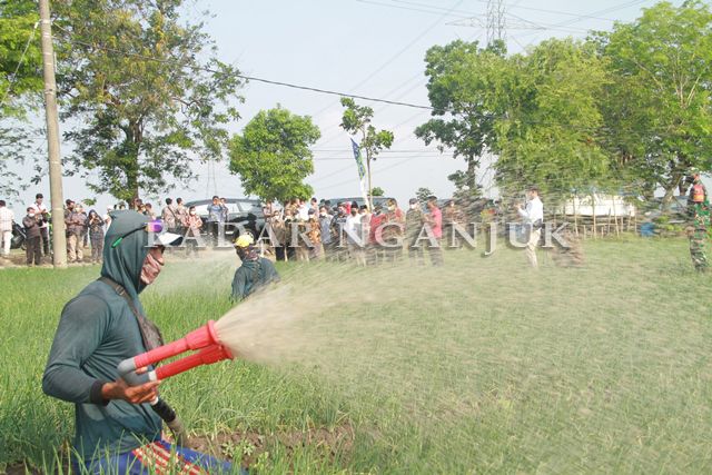 Cegah Harga Anjlok dengan Jual Brambang ke Koperasi Cegah Harga Anjlok dengan Jual Brambang ke Koperasi