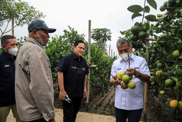 Menteri BUMN Erick Thohir Apresiasi Klaster Pertanian Binaan BRI Menteri BUMN Erick Thohir Apresiasi Klaster Pertanian Binaan BRI