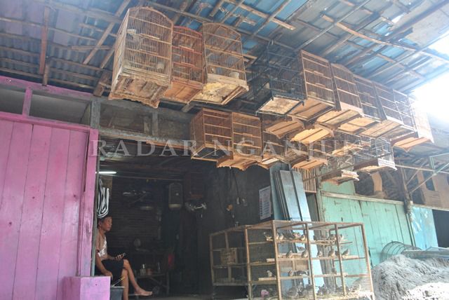 Melihat Pasar Loak Payaman, Kecamatan Nganjuk saat Pandemi Covid-19 Melihat Pasar Loak Payaman, Kecamatan Nganjuk saat Pandemi Covid-19