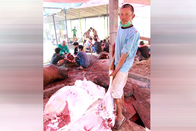 GESIT: Musman menjagal sapi di Masjid Baitul Makmur Purwodadi, Grobogan, kemarin. GESIT: Musman menjagal sapi di Masjid Baitul Makmur Purwodadi, Grobogan, kemarin.