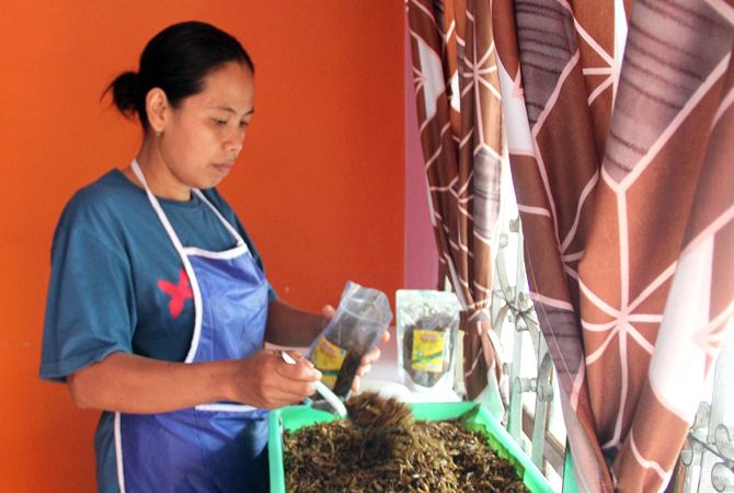 DUA VARIAN: Walang goreng yang sudah siap dikemas ke berbagai kemasan. DUA VARIAN: Walang goreng yang sudah siap dikemas ke berbagai kemasan.