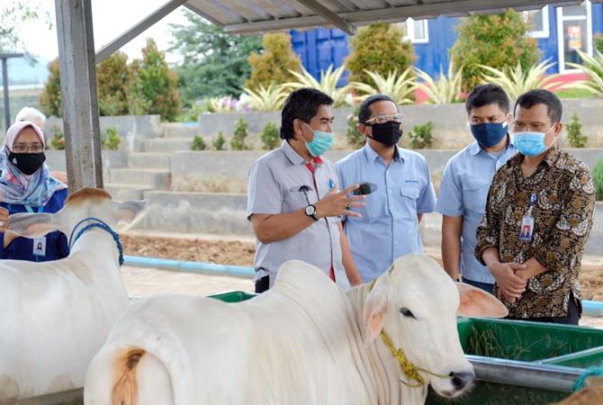 LIHAT CSR: Tim BPKP Perwakilan Jawa Tengah diajak melihat peternakan binaan Semen Gresik (18/11) lalu. LIHAT CSR: Tim BPKP Perwakilan Jawa Tengah diajak melihat peternakan binaan Semen Gresik (18/11) lalu.