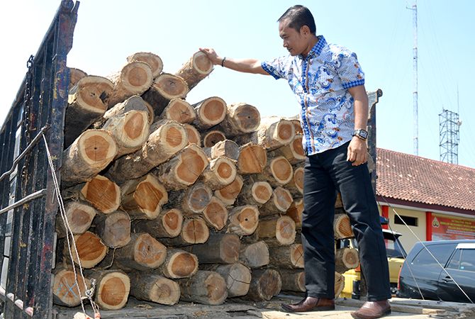 AMANKAN: Kayu hasil curian yang berhasil diamankan aparat kepolisian baru-baru ini. AMANKAN: Kayu hasil curian yang berhasil diamankan aparat kepolisian baru-baru ini.