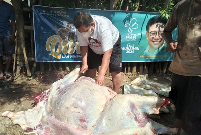 IKUT MBOLANG: Sekretaris Dewan Syuro DPC PKB H. Ilwani membantu menguliti kerbau bantuan dari Ketua Umum PKB Muhaimain Iskandar kemarin. IKUT MBOLANG: Sekretaris Dewan Syuro DPC PKB H. Ilwani membantu menguliti kerbau bantuan dari Ketua Umum PKB Muhaimain Iskandar kemarin.