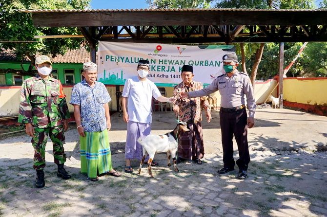 PEDULI: SKK Migas-KKKS KEI menyalurkan sejumlah hewan kurban di Kecamatan Raas, Sumenep, Jumat (31/7). PEDULI: SKK Migas-KKKS KEI menyalurkan sejumlah hewan kurban di Kecamatan Raas, Sumenep, Jumat (31/7).