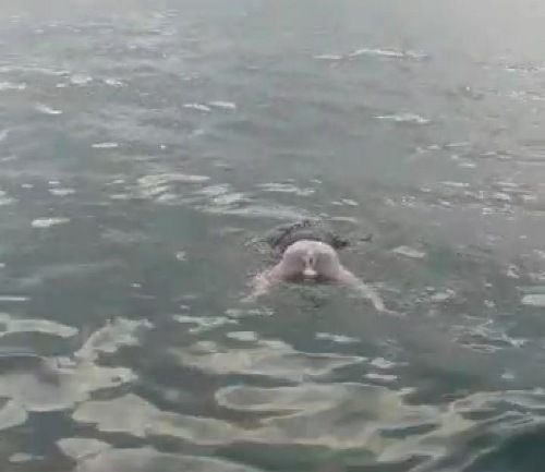 TAK SIA-SIA: Jasad salah satu nelayan ditemukan mengambang di pesisir selatan Pulau Giliraja, Giligenting, Selasa pagi (12/1). TAK SIA-SIA: Jasad salah satu nelayan ditemukan mengambang di pesisir selatan Pulau Giliraja, Giligenting, Selasa pagi (12/1).
