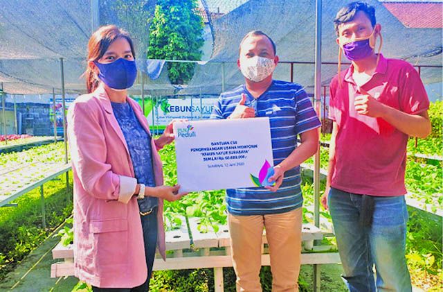 DUKUNG UKM: Penyerahan bantuan pengembangan usaha hidroponik Kebun Sayur Surabaya senilai Rp 60 juta. DUKUNG UKM: Penyerahan bantuan pengembangan usaha hidroponik Kebun Sayur Surabaya senilai Rp 60 juta.