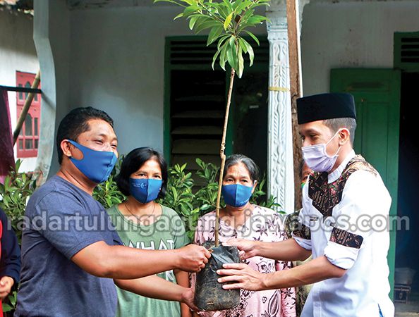 Syah Nata Negara saat membagikan bibit buah kepada warga di Desa Kertosono Kecamatan Panggul. Syah Nata Negara saat membagikan bibit buah kepada warga di Desa Kertosono Kecamatan Panggul.