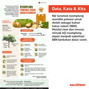 Nyamplung Penghasil Bahan Bakar Alternatif