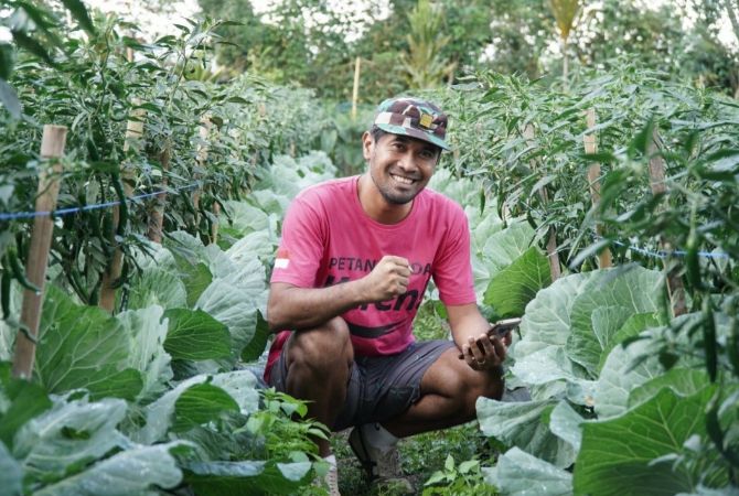 Pasca Panen Solusi Penting Di Sektor Pertanian
