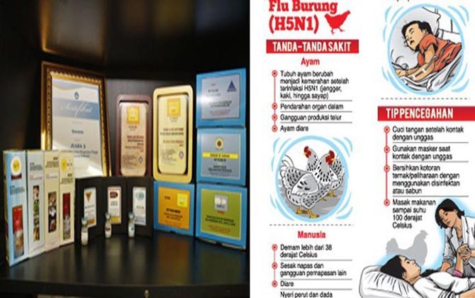 Kasus Flu Burung Kembali Muncul Ini Langkah Diskes Bali