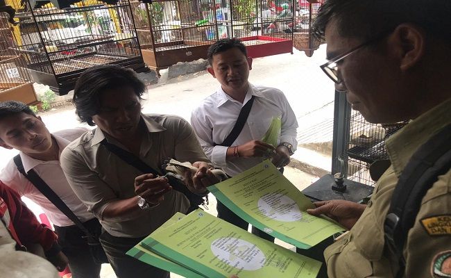Jual Bebas Di Pasar Polisi Gianyar Dan Bksda Cek Penjualan Jalak Bali
