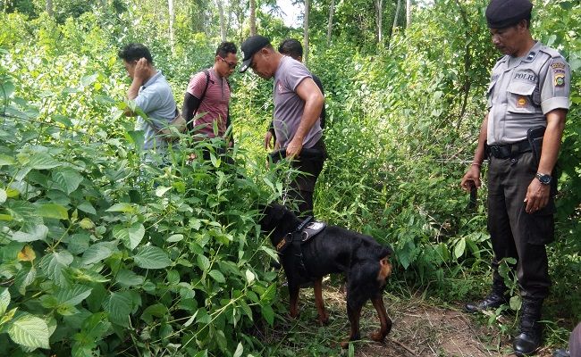 Turunkan Anjing Pelacak Dan Inafis Kembali Temukan Dua Tulang Paha