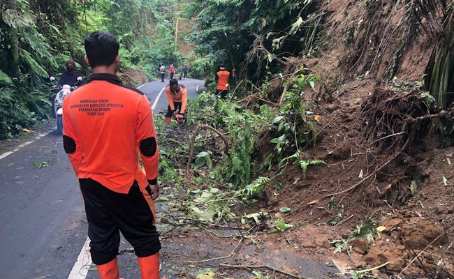 Tanah Longsor Hadang Jalan Di Tegalalang Gianyar