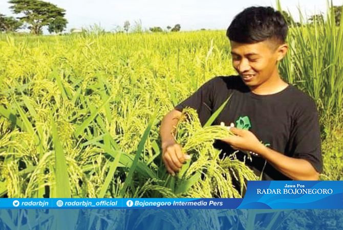 Berdayakan 300 Hektare Lahan Pertanian Organik
