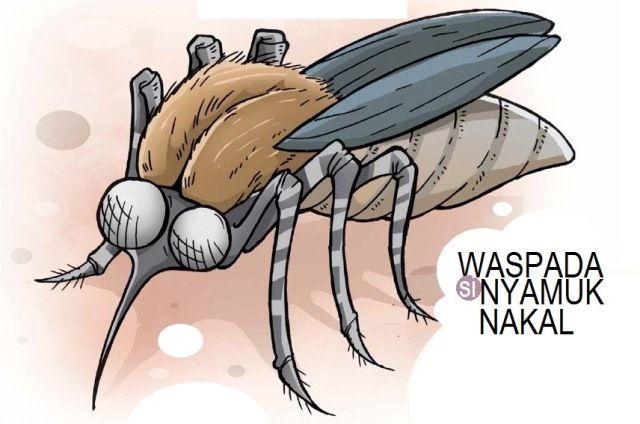 Waspada Bahaya Demam Berdarah