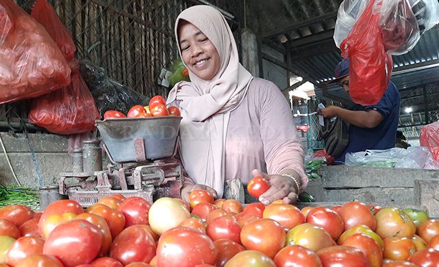 Permintaan Naik Harga Tomat Naik Dua Kali Lipat