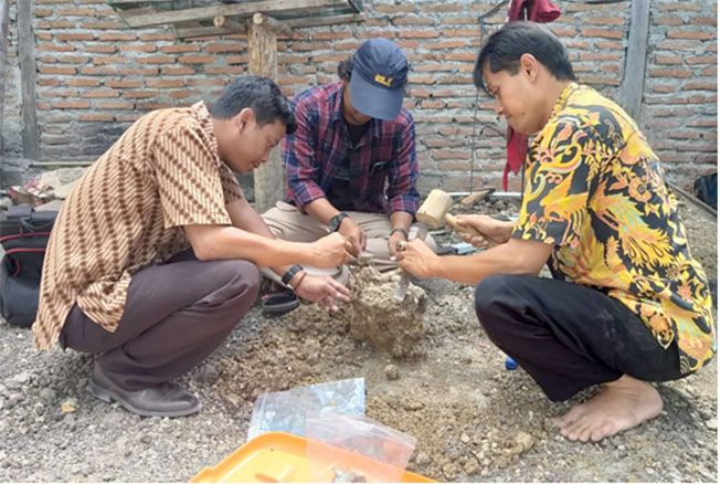 450 Koleksi Gambar Fosil Hewan Purba Terbaik