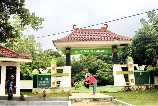 Daftarkan Hutan Kera Nepa ke AWJ