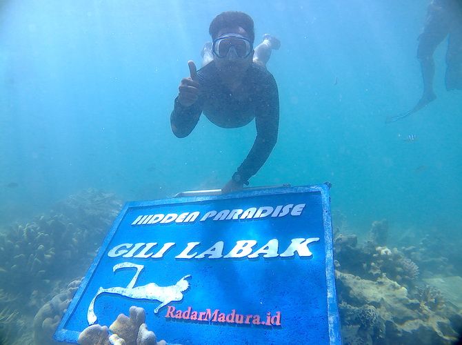 86 Gambar Alam Bawah Laut 86 Gambar Alam Bawah Laut