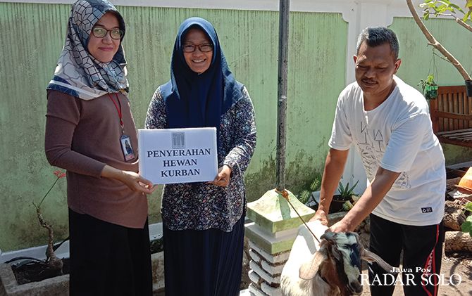 420+ Gambar Mewarnai Hewan Kurban HD Terbaik