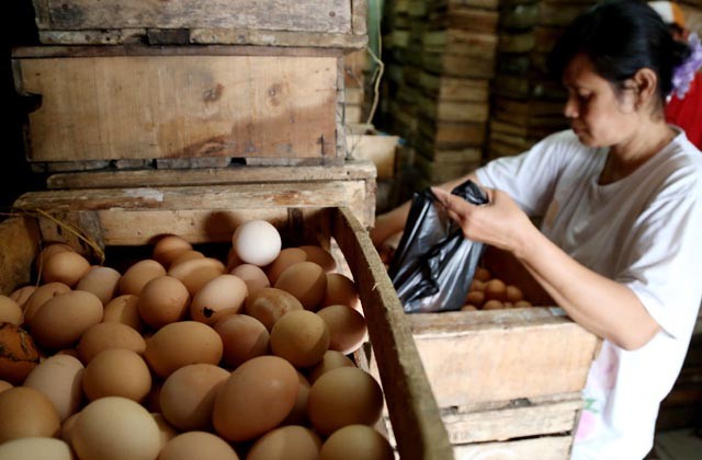 Tak Mau Jualan Rugi Telur Pecah Laris Manis
