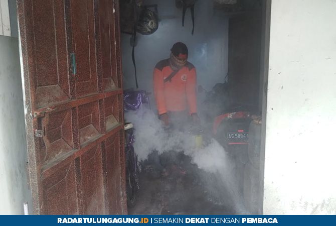 Alasan Kenapa Tak Bisa Sembarangan Lakukan Fogging